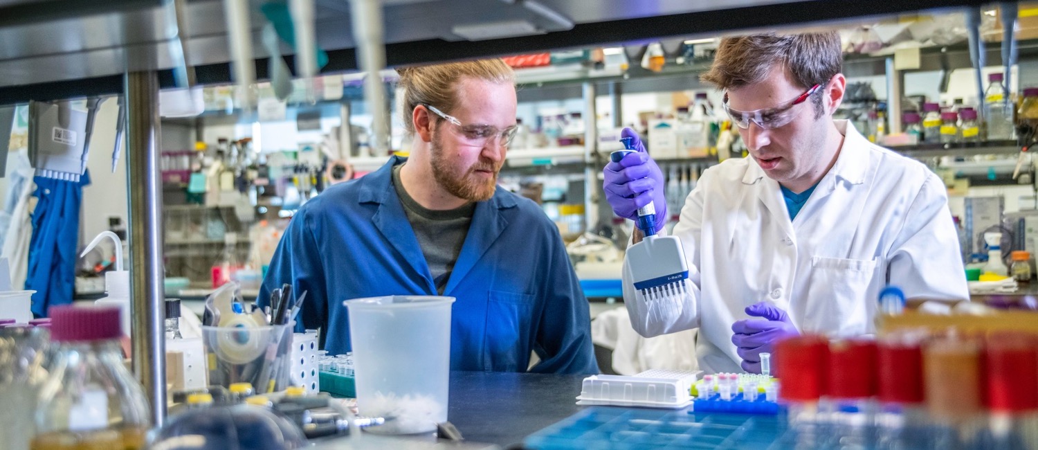 Two men working in biology lab